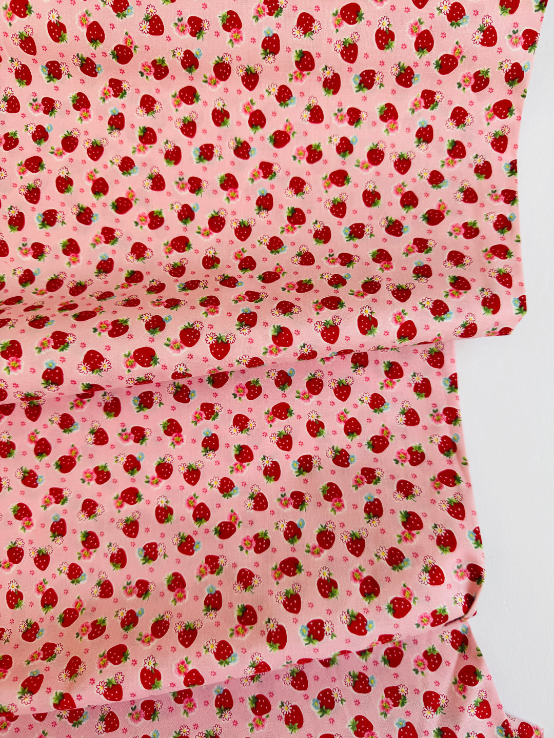 CC75AC1A-CC06-44A4-BE4D-