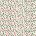 Forget-Me-Not Rose - Mary (6815) - Pink - Emma Newman - Devonstone