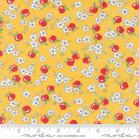 30's Playtime 2025 - Apple Blossoms - Sunshine - Linzee McCray - Moda